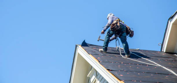 Best Roof Gutter Cleaning  in Lewisville, NC